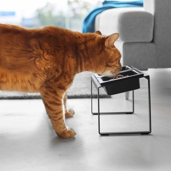 Set di ciotole con supporto in ceramica per animali domestici Nooks – YAMAZAKI