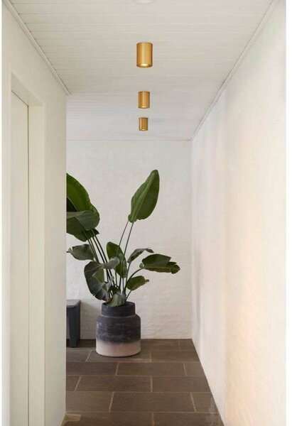 LOOM DESIGN plafoniera LED Nyx, ottone, IP54 dimmerabile, Ottone / Oro, Bagno, Alluminio, Moderno, Plafoniere LED