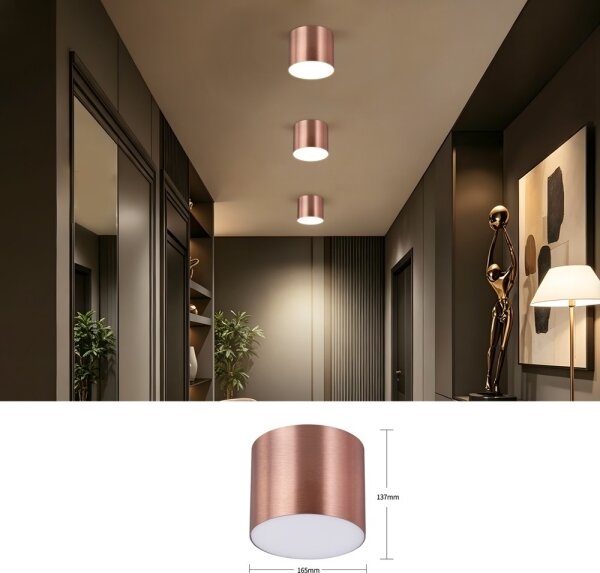 Immax NEO 07320L - Plafoniera LED dimmerabile RONDATE 32W/230V 16,5 cm Wi-Fi Tuya rosa