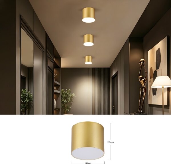 Immax NEO 07318L - Plafoniera LED dimmerabile RONDATE 32W/230V 16,5 cm Wi-Fi Tuya oro