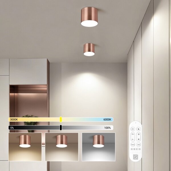 Immax NEO 07319L - Plafoniera LED dimmerabile RONDATE 18W/230V, diam. 11,5 cm, Wi-Fi Tuya, rosa