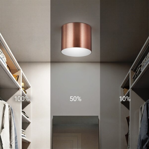 Immax NEO 07319L - Plafoniera LED dimmerabile RONDATE 18W/230V, diam. 11,5 cm, Wi-Fi Tuya, rosa