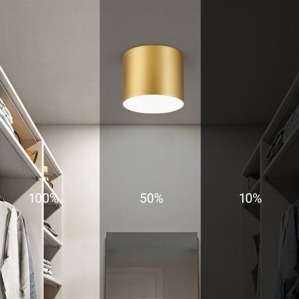 Immax NEO 07317L - Plafoniera LED dimmerabile RONDATE 18W/230V 11,5cm Wi-Fi Tuya oro