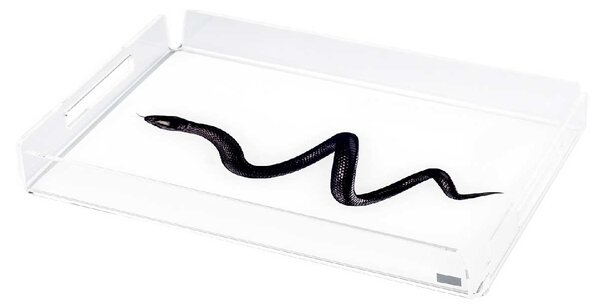 Vesta Vassoio rettangolare piccolo in plexiglass con incisione "Snake" Like Water Plexiglass Trasparente Vassoi di Design,Vassoi Moderni