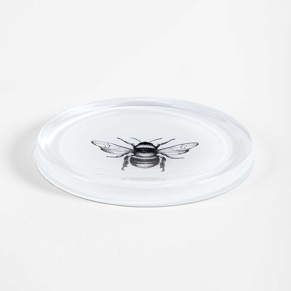 Vesta Svuotatasche rotondo in stile moderno Hypnosis in plexiglass "Bee" Hollow Plexiglass Trasparente