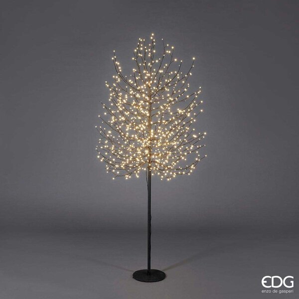 EDG - Enzo de Gasperi Decorazione natalizia Albero di Natale Faggio tronco lungo con 900 LED -