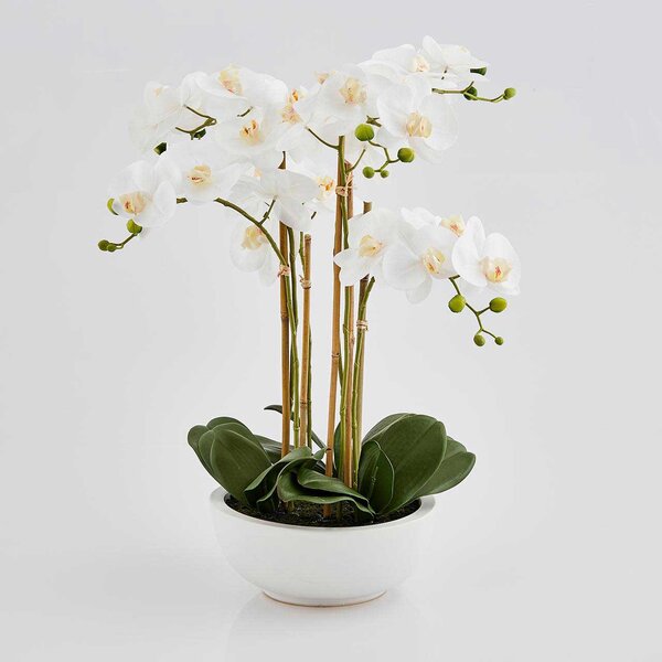 EDG - Enzo de Gasperi Pianta artificiale Orchidea con vaso grande moderno 