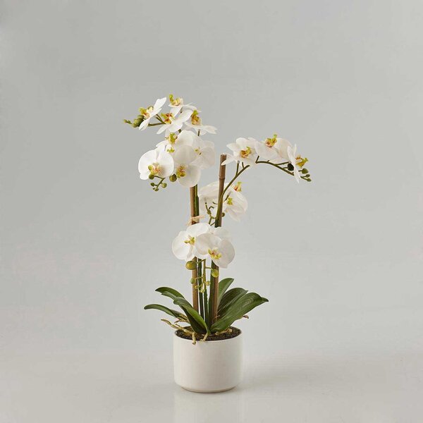 EDG - Enzo de Gasperi Pianta artificiale Orchidea con vaso Bianco/Verde