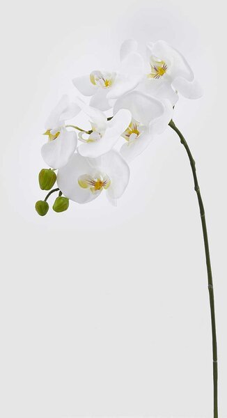 EDG - Enzo de Gasperi Pianta artificiale con ramo di Orchidea -