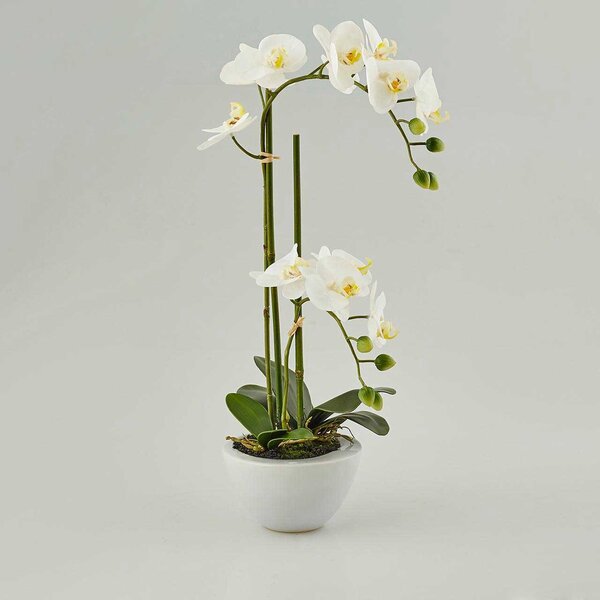 EDG - Enzo de Gasperi Pianta artificiale con vaso Orchidea Bianco