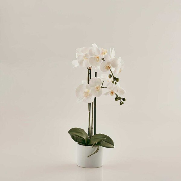 EDG - Enzo de Gasperi Pianta artificiale Orchidea con vaso moderno -