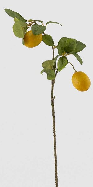 EDG - Enzo de Gasperi Pianta artificiale con ramo e foglie di Limone Verde/Giallo