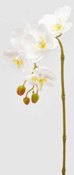 EDG - Enzo de Gasperi Pianta artificiale ramo di Orchidea Bianco