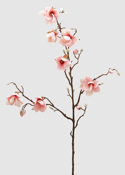 EDG - Enzo de Gasperi Pianta artificiale ramo di Magnolia Stellata Gomma Siliconata Rosa