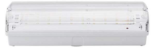 Luce di emergenza LED LED/3W/240V 6000K IP65