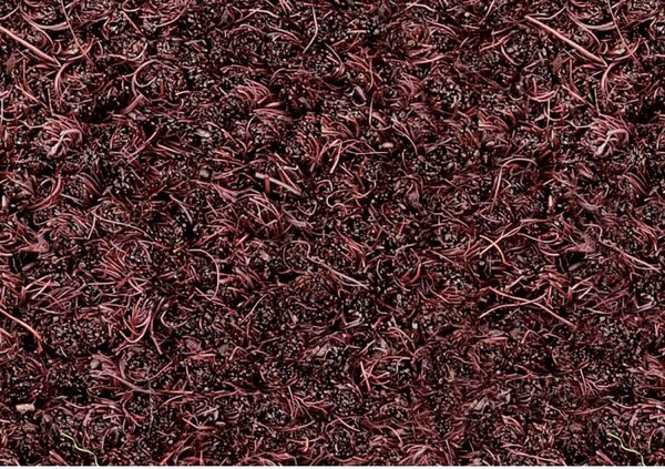 Zerbino cocco colorato marrone h. 100 cm Nero 100x150 cm