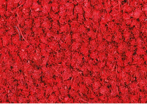 Zerbino cocco colorato rosso h. 100 cm Nero 100x150