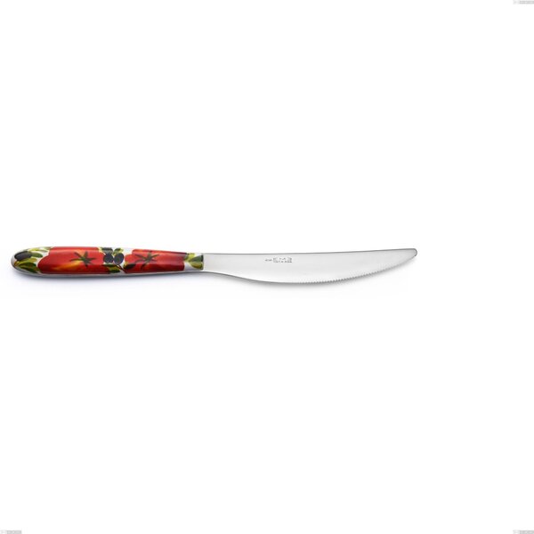 Coltello tavola Vero Albenga, acciaio 18.0 nickel free, manicatura pbt sublimato acciaio lucido, lunghezza 225 mm