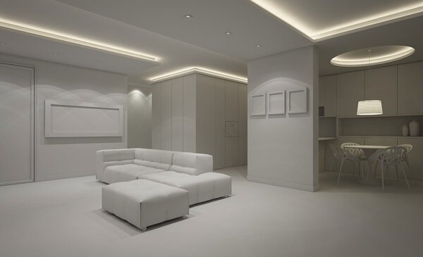 Striscia LED Professional 2835/224 - IP20 - 25W/m - 2.900lm/m- 5m - 24V Colore Bianco Freddo 5.700K