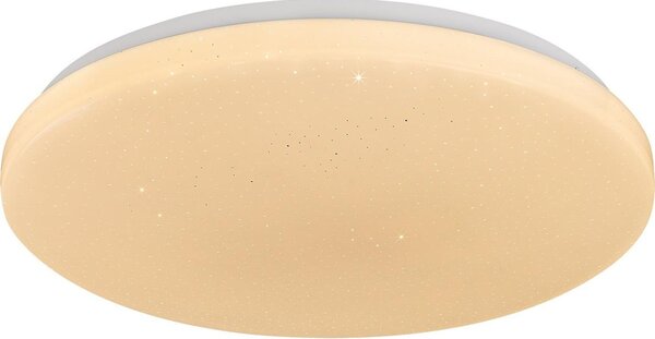 Rabalux 71445 - Plafoniera LED dimmerabile DANNY 2 LED/22W/230V 3000-6500K diam. 33 cm + telecomando