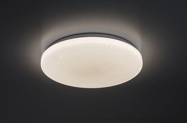 Rabalux 71445 - Plafoniera LED dimmerabile DANNY 2 LED/22W/230V 3000-6500K diam. 33 cm + telecomando