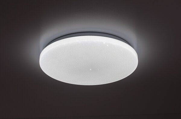 Rabalux 71445 - Plafoniera LED dimmerabile DANNY 2 LED/22W/230V 3000-6500K diam. 33 cm + telecomando