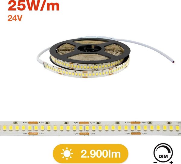 Striscia LED Professional 2835/224 - IP20 - 25W/m - 2.900lm/m- 5m - 24V Colore Bianco Freddo 5.700K
