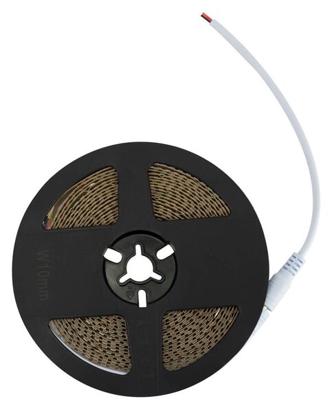 Striscia LED Professional 2835/224 - IP20 - 25W/m - 2.900lm/m- 5m - 24V Colore Bianco Freddo 5.700K