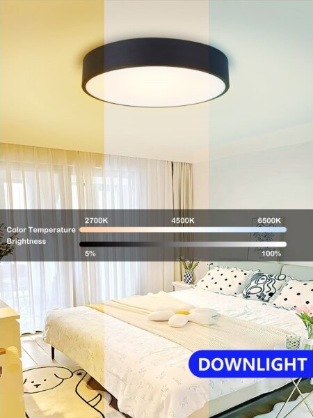 Immax NEO 07201L-Plafoniera LED dimmerabile RONDATE 28W/230V nero Tuya+RC