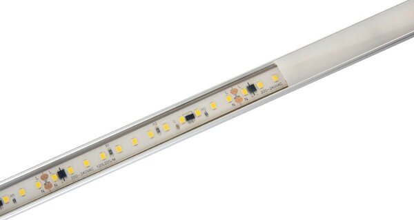 Strisce LED 220V 16W/m 120lm/W chip Lumileds Dimmerabile tagl. 10cm – 10m Colore Bianco Freddo 6.000K