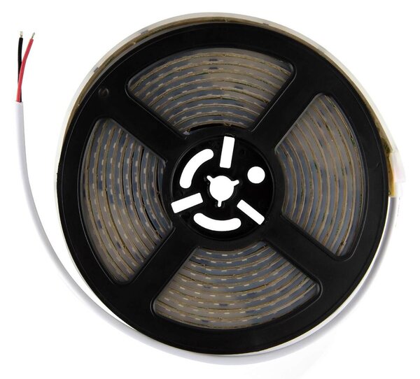 Strisce LED 220V 16W/m 120lm/W chip Lumileds Dimmerabile tagl. 10cm – 5m Colore Bianco Caldo 2.700K