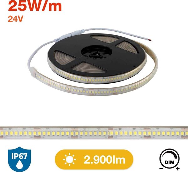 Striscia LED Professional 2835/224 - IP67 - 25W/m - 2.900lm/m- 5m - 24V Colore Bianco Freddo 6.000K