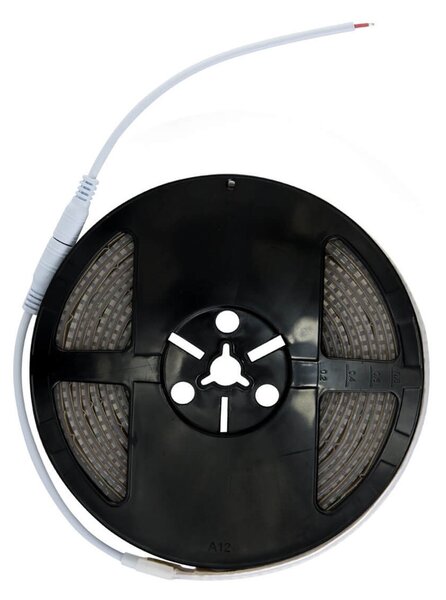 Striscia LED Professional 2835/224 - IP67 - 25W/m - 2.900lm/m- 5m - 24V Colore Bianco Freddo 6.000K