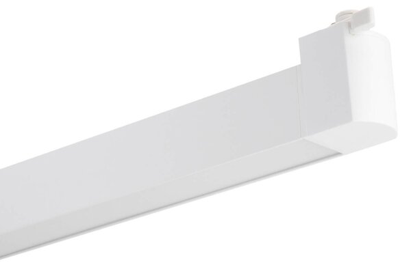 Faro LED Lineare 24W per Binario Monofase Orientabile Bianco - 100° Colore Bianco Freddo 6.000K