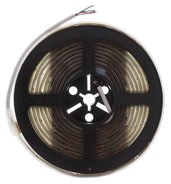 Striscia LED COB RGB Multicolore 16W/m 24VDC IP67 5m Professional Colore RGB