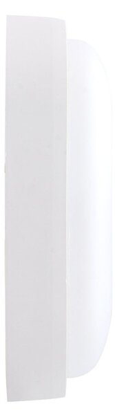 Plafoniera LED da Esterno 15W IP65 Ovale CCT - Bianco Variabile