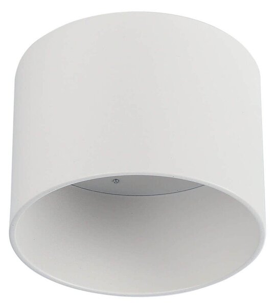Applique da soffitto per lampade AR111 Fissa Bianca