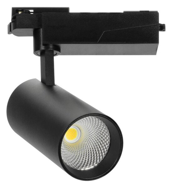 Faro LED 40W Dimmerabile Triac Binario Monofase 38°/60° Nero CCT CRI92 Colore Bianco Variabile CCT