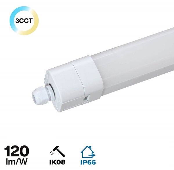 Plafoniera LED Stagna 120cm 36W 120lm/w IK08 IP66 CCT Colore Bianco Variabile CCT