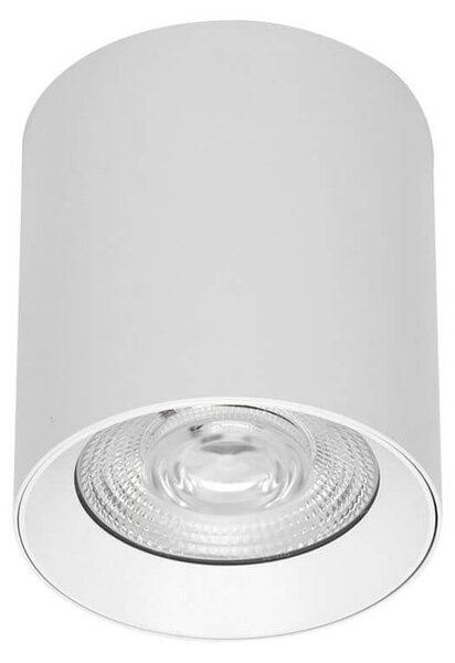 Applique da soffitto 20W Bianca CCT Bianco Variabile Angolo 24°/38° Bridgelux LED
