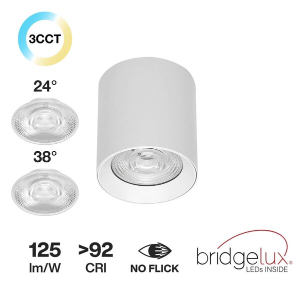 Applique da soffitto 20W Bianca CCT Bianco Variabile Angolo 24°/38° Bridgelux LED