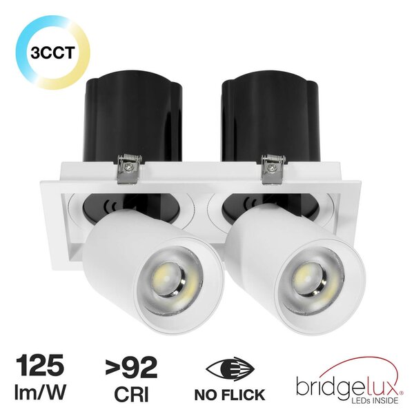 Faro LED da Incasso 2x30W Orientabile CCT Foro Ø210x110 Bridgelux LED Colore Bianco Variabile CCT