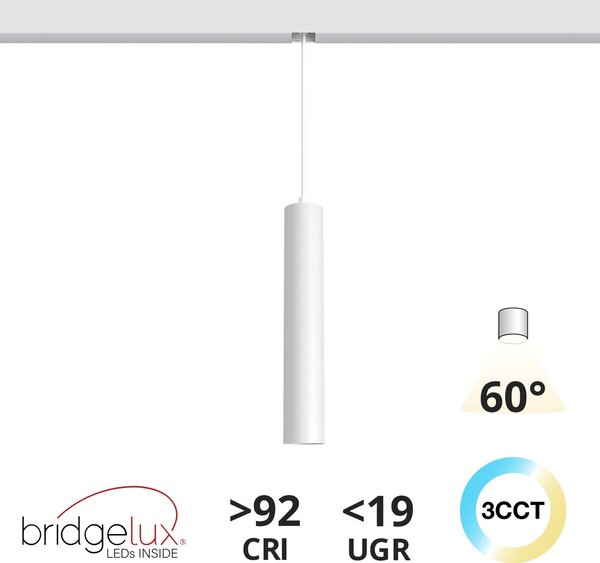 Lampada a Sospensione 10W Magnetica CCT CRI92 Bianca Colore Bianco Variabile CCT