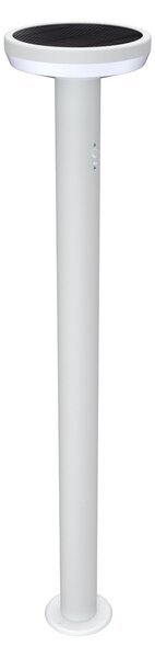 Paletto da giardino Solare Bianco 80cm con Sensore Mov. e Picchetto Colore Bianco Naturale 4.000K