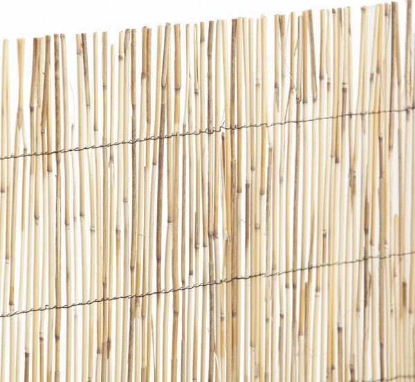Arella bambù L 3 x H 2 m