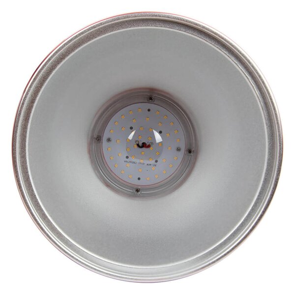Campana LED a Sospensione 45W Banco Carni con driver Philips Colore Rosa Alimentare