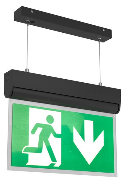 Lampada Emergenza a Sospensione 3h S.E S.A Cinema Mode - Bianca o Nera Colore Bianco Freddo 6.000K