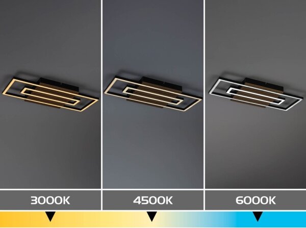 Rabalux 71456 - Plafoniera LED NOXELLE LED/28W/230V 3000/4500/6000K
