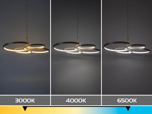 Rabalux 72401 - Lampadario LED dimmerabile su cavo ISIDORA 70W/230V 3000-6500K+telecomando