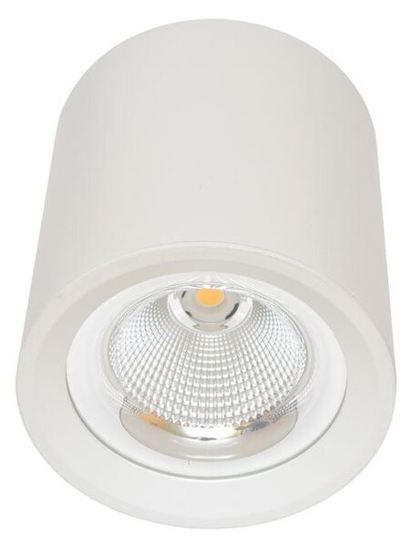 Ecolite Lampada da parete bianca rotonda 30W MZ-DL-30W/BI